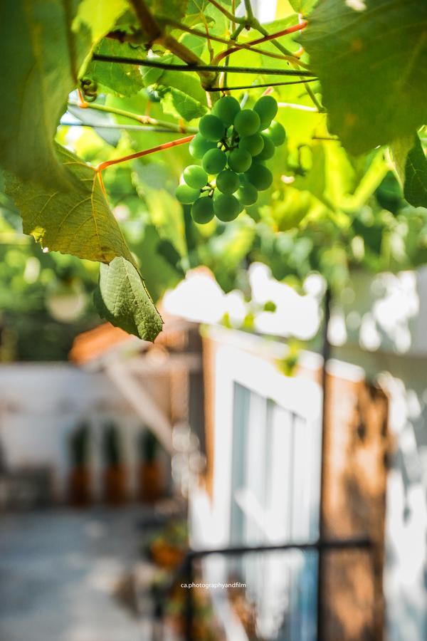 Hostel Grape Wine 圣保罗 外观 照片